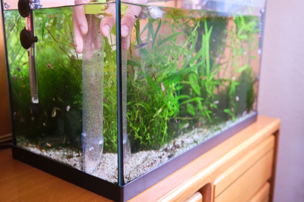 DIY Acrylic Aquarium - How to Build an Acrylic Fish Tank Aquarium Easily - FAB Glass and Mirror
