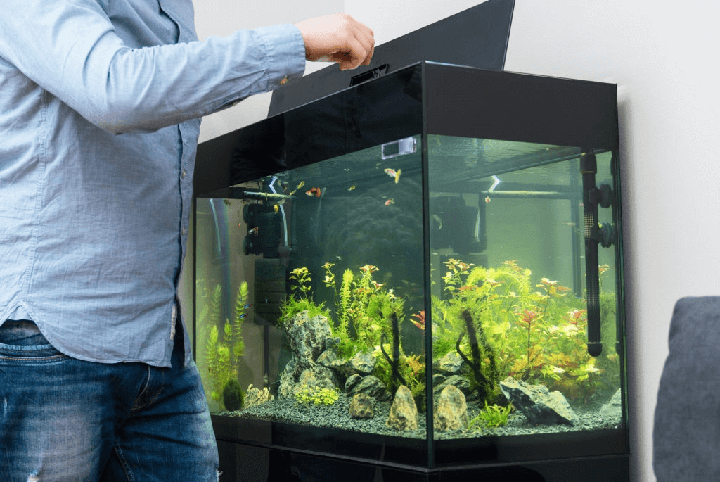 Acrylic Fish Tank Aquarium