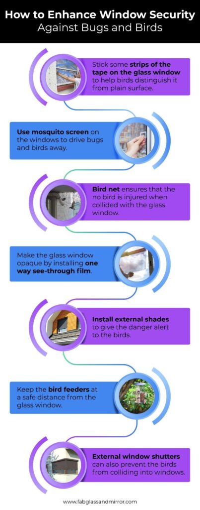 How to Stop Birds from Flying into Windows