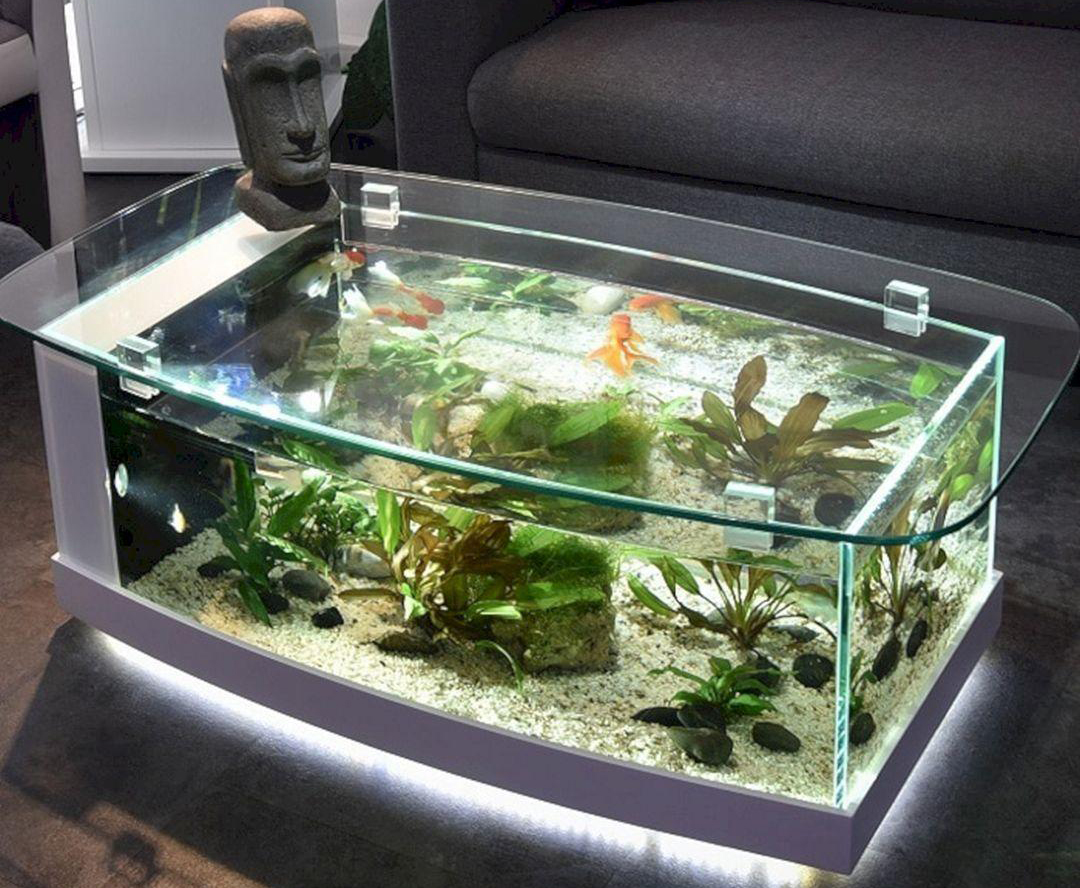 tragedy attribute And team DIY Guide to Building an Aquarium Coffee Table