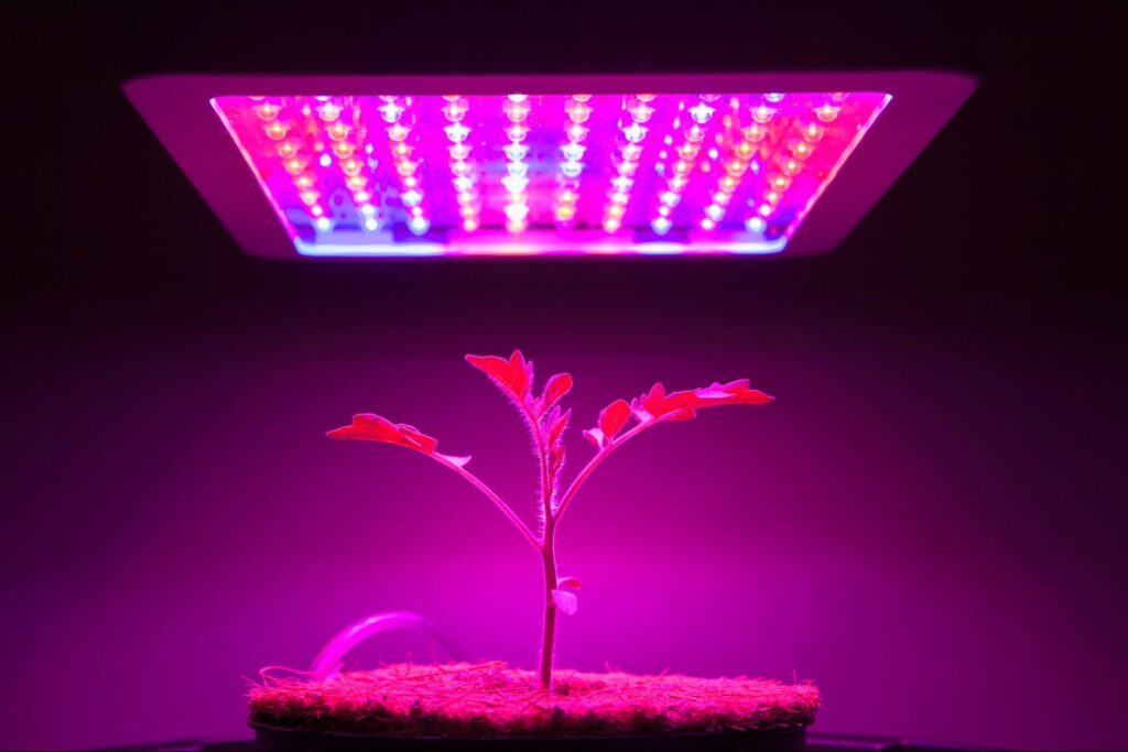 Grow lights for Plant Cabinet