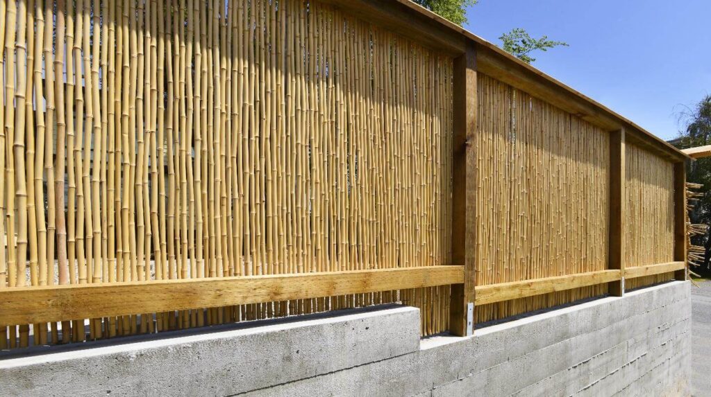 Bamboo Fences