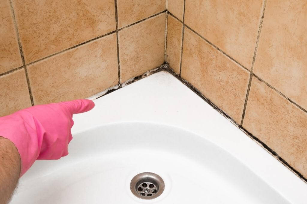 Vulnerability To Mold And Mildew