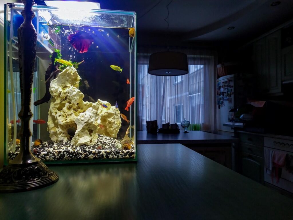 A lit aquarium with colorful fish and a large white rock sitting on a kitchen counter, showcasing clear fish tank glass in a dimly lit room.