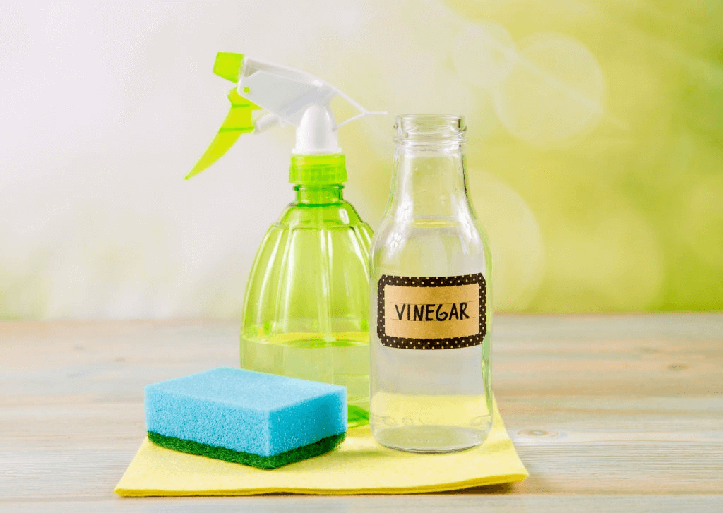 Can We Use Vinegar to Clean Fish Tanks-