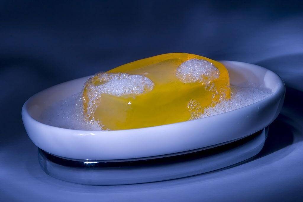 Is It Safe to Clean a Fish Tank With Dish Soap-