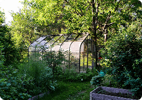 Guides and insights on plexiglass use in home and commercial settings