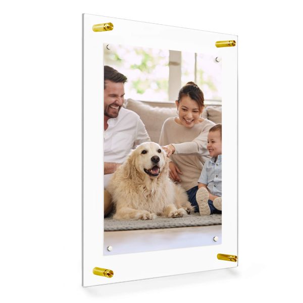21 in. x 27 in. Rectangular Single Acrylic Picture Frame with Gold Wall Mounted Magnet Best for 18