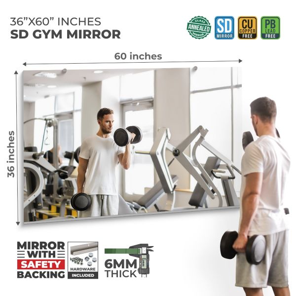 Gym Wall Mirror SD Annealed 1/4