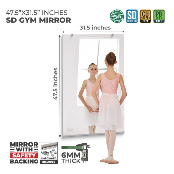 Gym Wall Mirror | 1/4