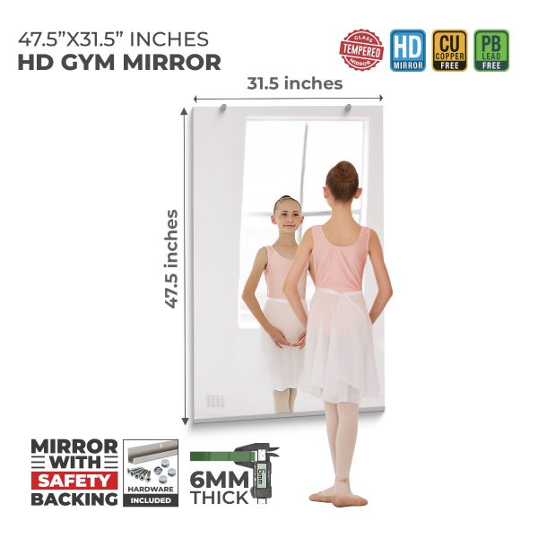 Best Home Gym Mirror 47.5