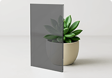 Grey tinted tempered glass sample showcasing a neutral smoke hue and custom cut precision against a small succulent.
