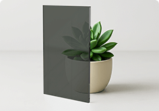 Super Grey tinted tempered glass sample showcasing its deep charcoal hue and custom cut precision against a plant.