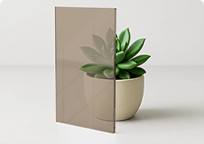 Bronze tinted tempered glass panel beside green succulent