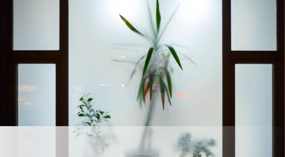 Translucent Glass Panels